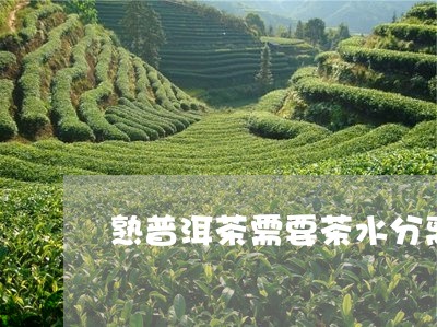 熟普洱茶需要茶水分离吗/2023110320715