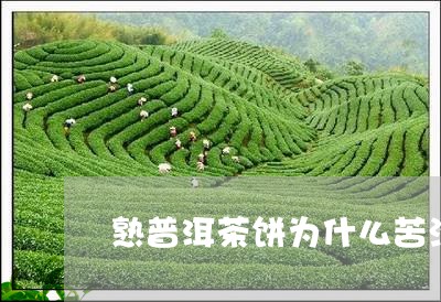 熟普洱茶饼为什么苦涩/2023092825368