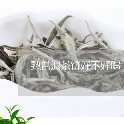 熟普洱茶饼好不好喝/2023110709372