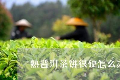 熟普洱茶饼很硬怎么办/2023092988350