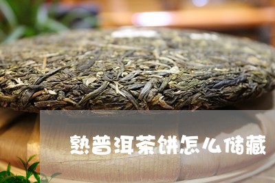 熟普洱茶饼怎么储藏/2023120565048