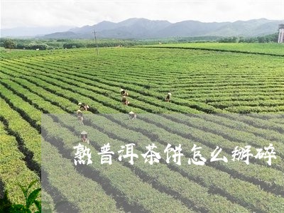 熟普洱茶饼怎么掰碎/2023083125059