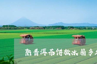 熟普洱茶饼放冰箱多久不能喝/2023052783724