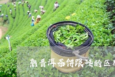 熟普洱茶饼跟砖的区别/2023092745937