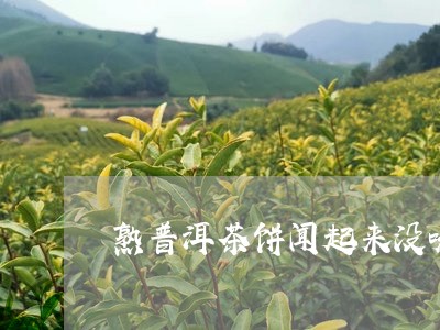 熟普洱茶饼闻起来没味/2023062024069