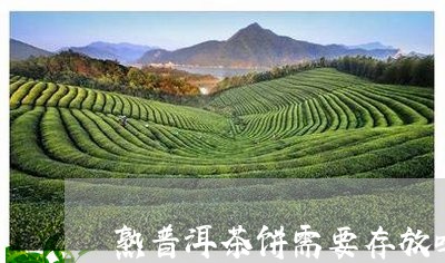 熟普洱茶饼需要存放吗多少年/2023052946190