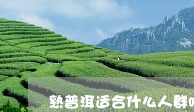 熟普洱适合什么人群喝/2023061395149