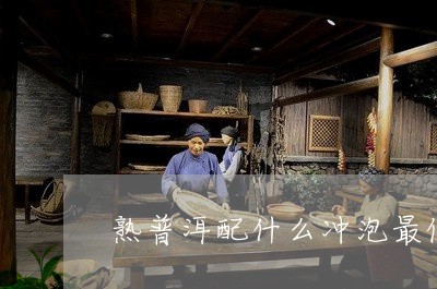 熟普洱配什么冲泡最佳/2023061304937