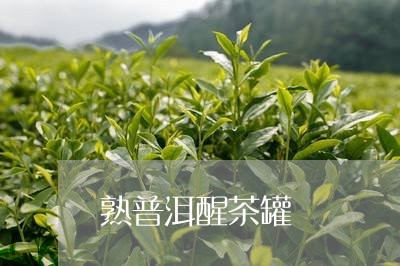 熟普洱醒茶罐/2023090719692