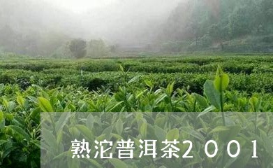 熟沱普洱茶2001年/2023080283737