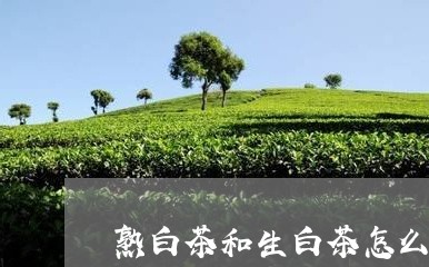 熟白茶和生白茶怎么分辨/2023102736361