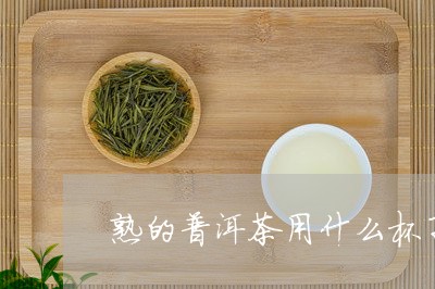 熟的普洱茶用什么杯子/2023092941703