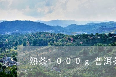 熟茶1000g普洱茶/2023080395038