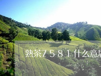 熟茶7581什么意思/2023092256383