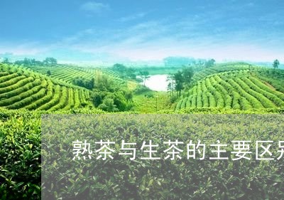 熟茶与生茶的主要区别与功效/2023052985036