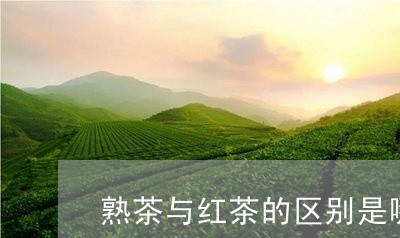 熟茶与红茶的区别是哪里/2023050630391