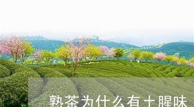 熟茶为什么有土腥味/2023042607591