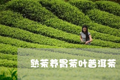 熟茶养胃茶叶普洱茶/2023091459794