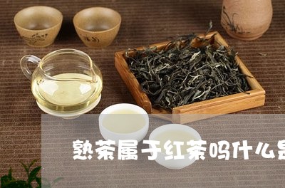 熟茶属于红茶吗什么是熟茶/2023051249259