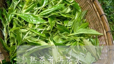 熟茶普洱茶头/2023042831318