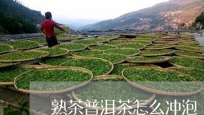 熟茶普洱茶怎么冲泡/2023070981814