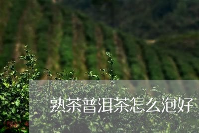 熟茶普洱茶怎么泡好/2023083172607