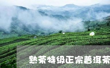 熟茶特级正宗普洱茶/2023070990702