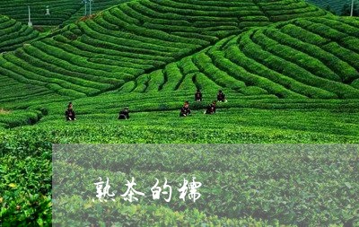 熟茶的糯/2023110878069