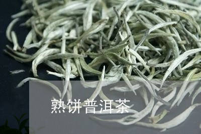 熟饼普洱茶/2023090548403