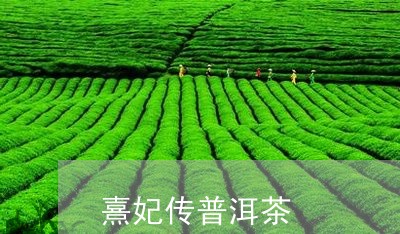 熹妃传普洱茶/2023042943419