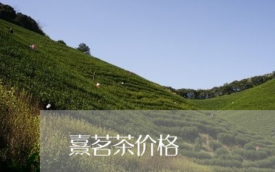 熹茗茶价格/2023090208281