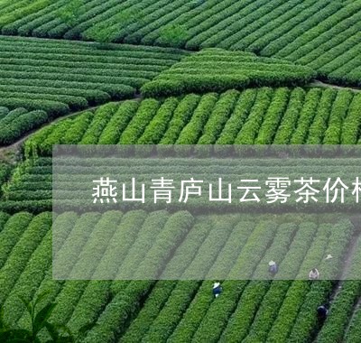 燕山青庐山云雾茶价格/2023060944847