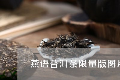 燕语普洱茶限量版图片/2023121850606