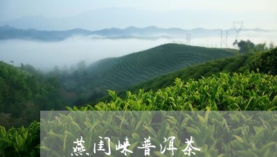 燕闺崃普洱茶/2023042804271