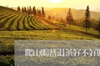 爬山喝普洱茶好不好喝呀/2023103125148