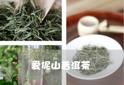 爱伲山普洱茶/2023042995819