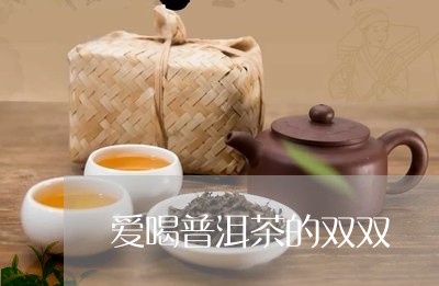 爱喝普洱茶的双双/2023081682925