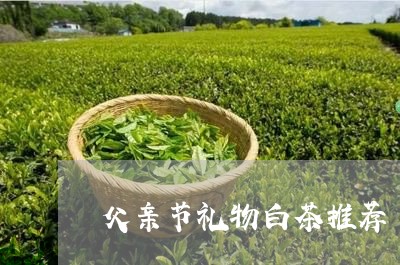 父亲节礼物白茶推荐/2023072135830