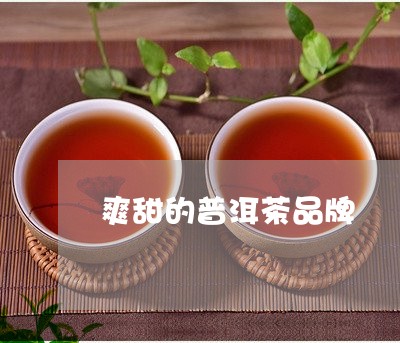 爽甜的普洱茶品牌/2023083120693