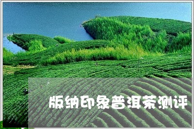 版纳印象普洱茶测评/2023070854026