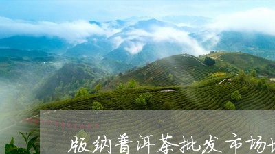 版纳普洱茶批发市场地址/2023082745269