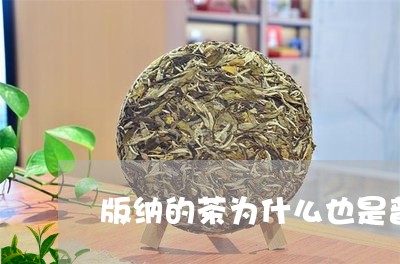 版纳的茶为什么也是普洱茶/2023082558514