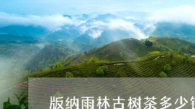 版纳雨林古树茶多少钱/2023092167160