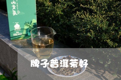 牌子普洱茶好/2023042611248