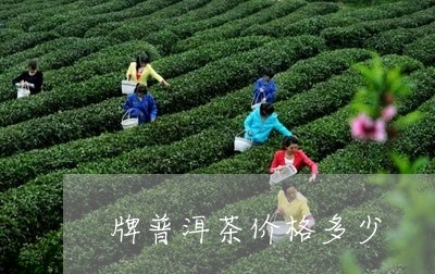 牌普洱茶价格多少/2023120504715