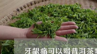 牙龈痛可以喝普洱茶吗/2023063061704