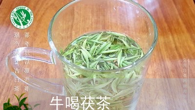 牛喝茯茶/2023121965159