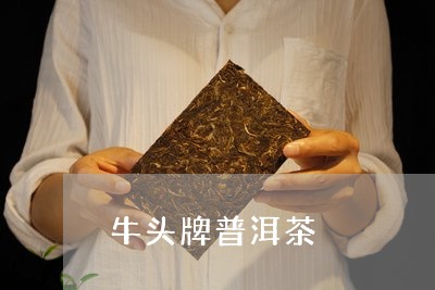 牛头牌普洱茶/2023042861106