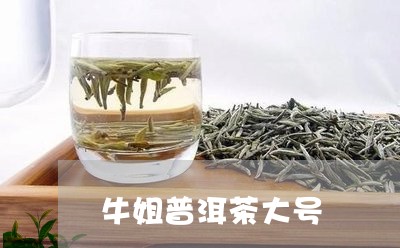 牛姐普洱茶大号/2023120384937