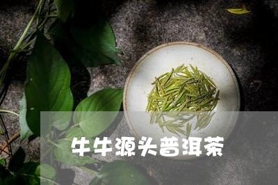 牛牛源头普洱茶/2023101640472